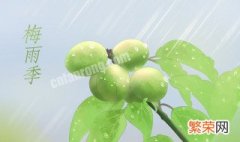 梅雨季节2021什么时间出梅 梅雨季节2021什么时间