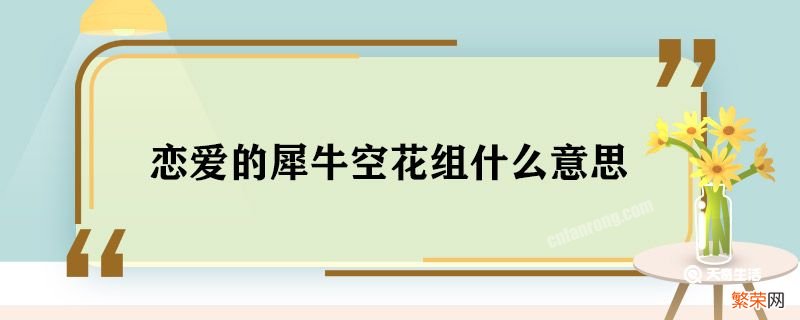 恋爱的犀牛空花组什么意思 恋爱的犀牛空花组是什么