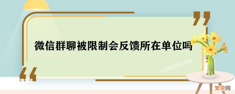 微信群聊被限制会反馈所在单位吗 微信群聊被限制会怎么样