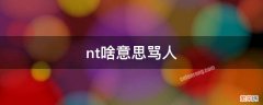 nt啥意思骂人 骂人ntr是什么意思?