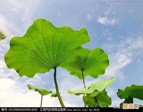 你最喜欢的古诗词或古文有哪些？