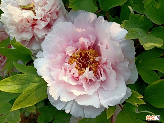 人生第一辆车,预算十万,首选合资!有没有什么推荐?