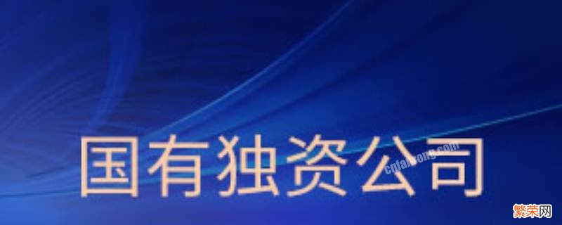 国有独资企业和国有独资公司的区别有哪些