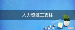 人力资源三支柱模型 人力资源三支柱