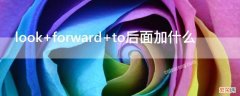 look+forward+to后面加什么 look forward to后面加什么形式