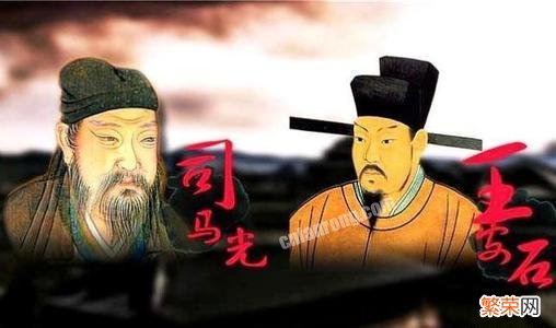 苏东坡,司马光,王安石三大文坛巨擘同朝为官,保守派改革派温和派该如何评价？