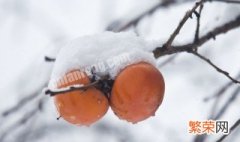 雪柿产地 雪柿子的原产地是哪里