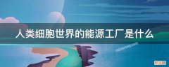 人类细胞世界的能源工厂是什么 人类细胞世界的能源工厂是什么体验