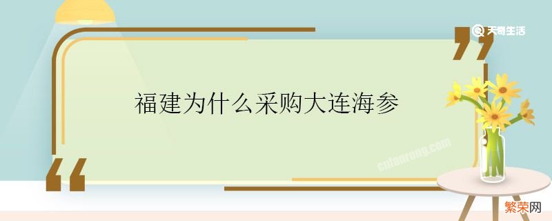 福建为什么采购大连海参 福建为啥采购大连海参