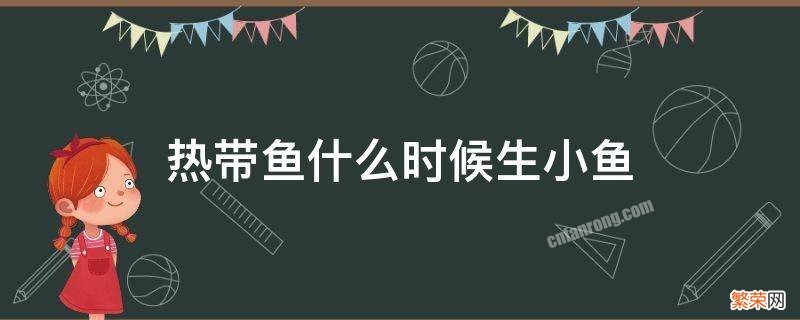 热带鱼一般几点生小鱼 热带鱼什么时候生小鱼