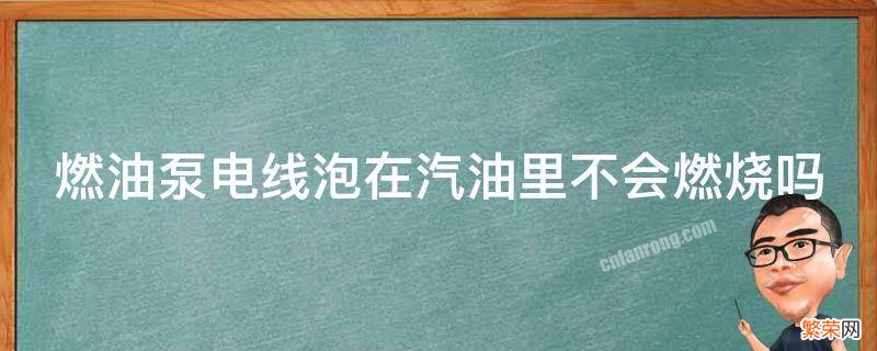 汽油泵在油箱里有电线不会起火呀 燃油泵电线泡在汽油里不会燃烧吗