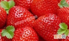 草莓的挑选和保存技巧视频 草莓的挑选和保存技巧