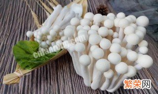 白灵菇生长最适温度 白灵菇生长对环境的要求
