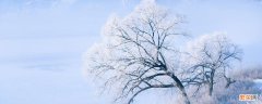 立冬和冬至节气的含义是什么 立冬和冬至有什么区别
