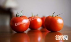 番茄怎么种植方法 蕃茄怎么种