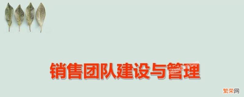 怎样的销售团队 管理销售团队的方法有哪些