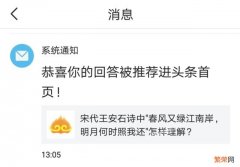 宋代王安石诗中\＂春风又绿江南岸,明月何时照我还\＂怎样理解？