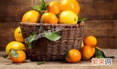 橘子籽怎么种盆栽 橘子籽怎样种植