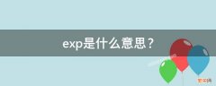 exp是什么意思？