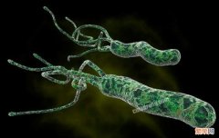 幽门螺旋杆菌70%的人都有,吃什么能消灭它？