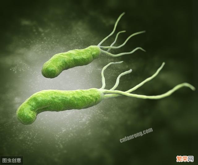 这3种食物是幽门螺杆菌的“敌人”,平时多吃点,胃病都会绕路走!“敌人”指什么?
