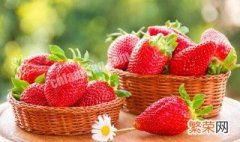 种草莓最简单的方法 种草莓的方法步骤