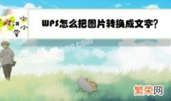 wps如何照片转为文档格式 wps如何照片转为文档?