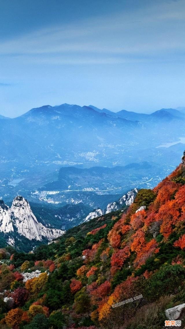 清明写出了什么样的节日情景？