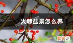 火棘怎么养 盆栽火棘怎么养