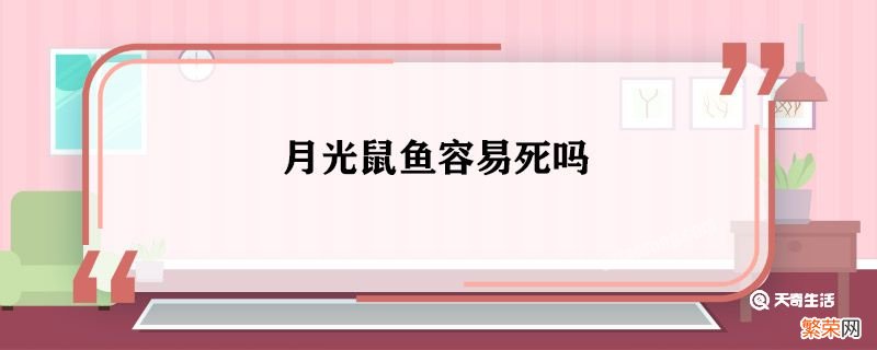 月光鼠鱼容易死吗 月光鼠鱼为什么容易死