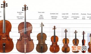 提琴分几种类型 提琴介绍