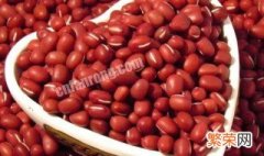 红豆的功效与作用及禁忌 红豆的相关了解