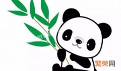 熊猫最爱吃什么竹子 熊猫最爱吃什么竹子?