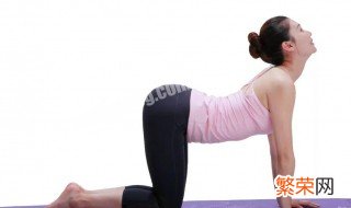 脊柱放松训练 脊柱放松最好方法