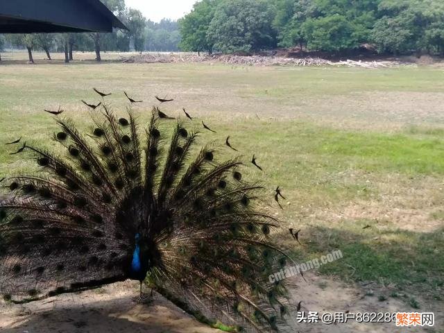 孩子喜欢画画,去哪里旅游比较适合呢？