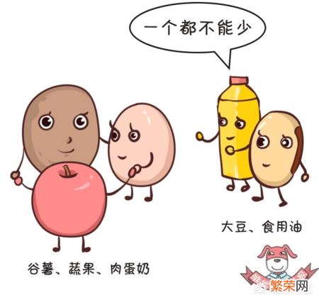 均衡健康的饮食有助于减肥,均衡健康的饮食包括哪些?