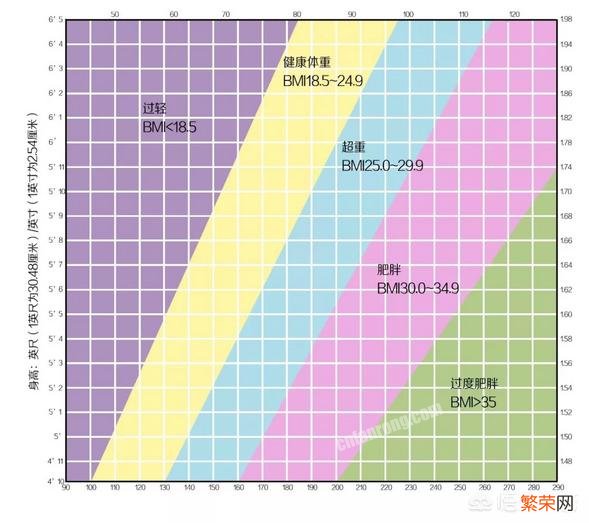 均衡健康的饮食有助于减肥,均衡健康的饮食包括哪些?