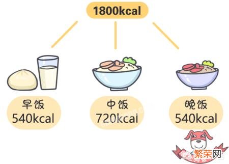均衡健康的饮食有助于减肥,均衡健康的饮食包括哪些?