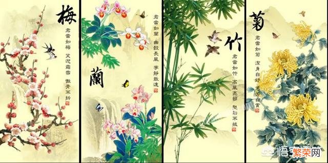 描写梅兰竹菊的诗句有哪些呢？