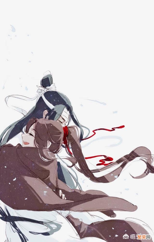 《魔道祖师》中你认为最令人过目难忘的是哪句话？