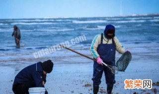 大潮和小潮赶海有什么不同 大潮和小潮赶海介绍