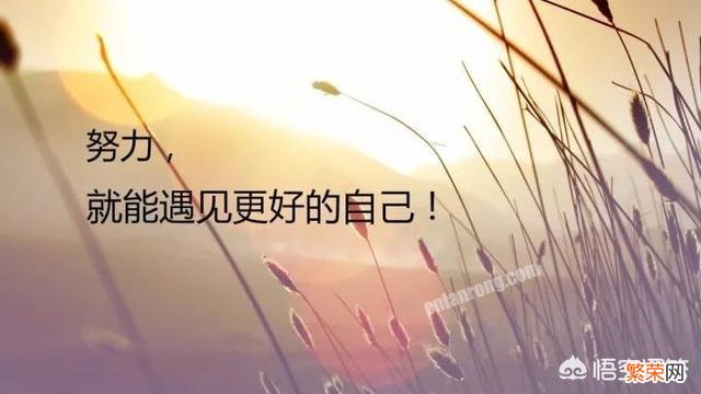 有哪些激励人心,点赞无数的励志语录？