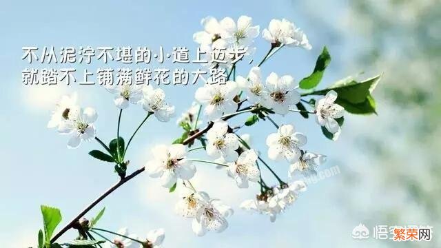 有哪些激励人心,点赞无数的励志语录？