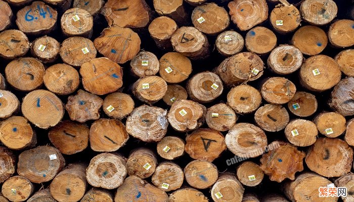 碳化木和防腐木的区别和长久性 碳化木和防腐木的区别