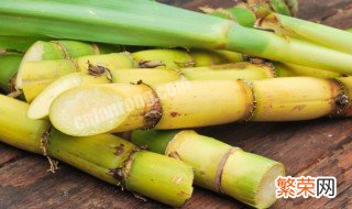 甘蔗扦插种植技术 甘蔗常用扦插的方法进行繁殖
