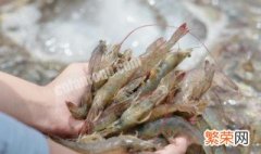 淡水虾养殖水质要求 淡水虾养殖
