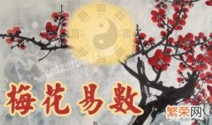 梅花易数是可以什么都能预测吗 梅花易数是不是什么都能预测