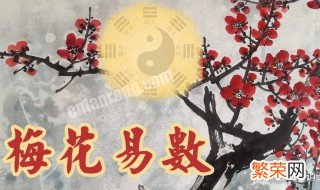 什么人不能学梅花易数 啥人不能学梅花易数