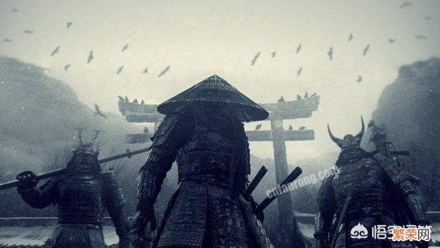 电影中所向披靡的日本刀,现实中威力到底如何？