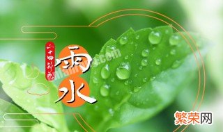 雨水节气食谱菜谱 二十四节气雨水食谱